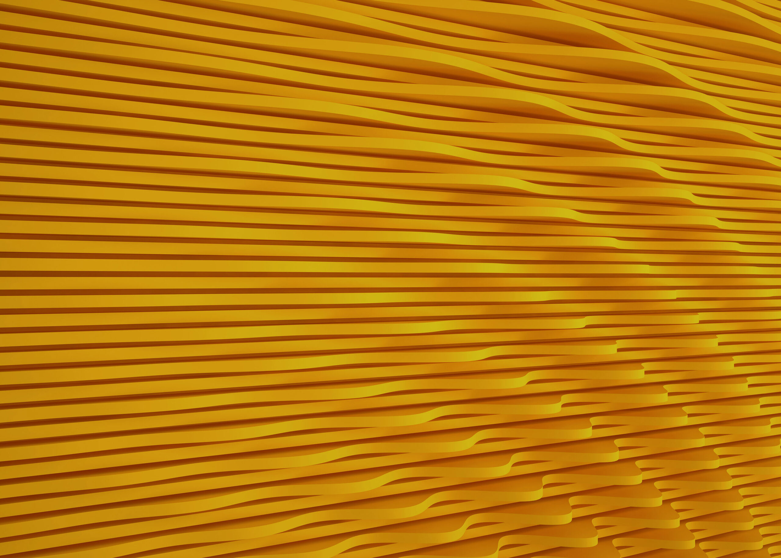 APAアワード2024　写真作品部門 審査委員長　飯沢耕太郎氏インタビュー